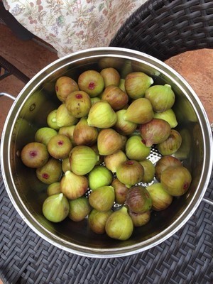 怎样用烤箱做无花果干?