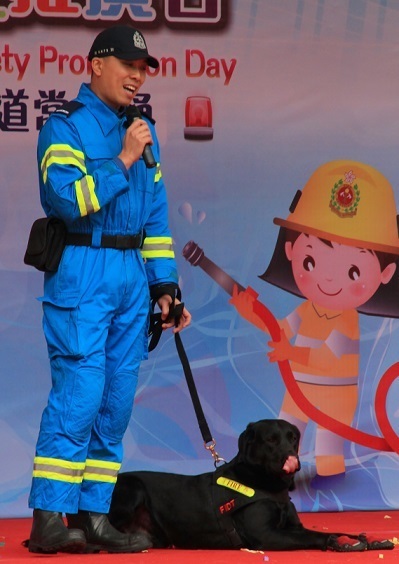 香港消防队穿什么颜色衣服