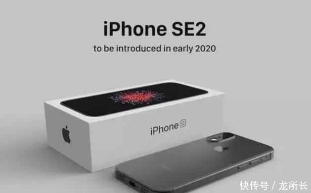 苹果有什么样的苹果