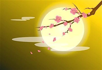 月亮花妇科凝胶多少钱