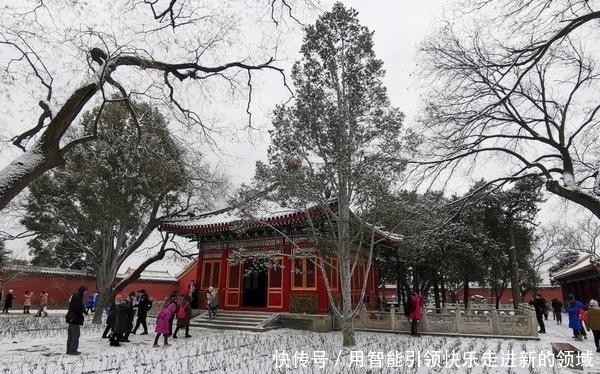 今天的北京下雪了