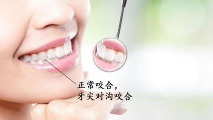 上下牙齿的正常咬合对应关系.