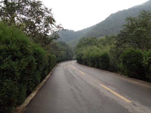 洛阳到栾川多长时间,洛阳到栾川有多远,多少公