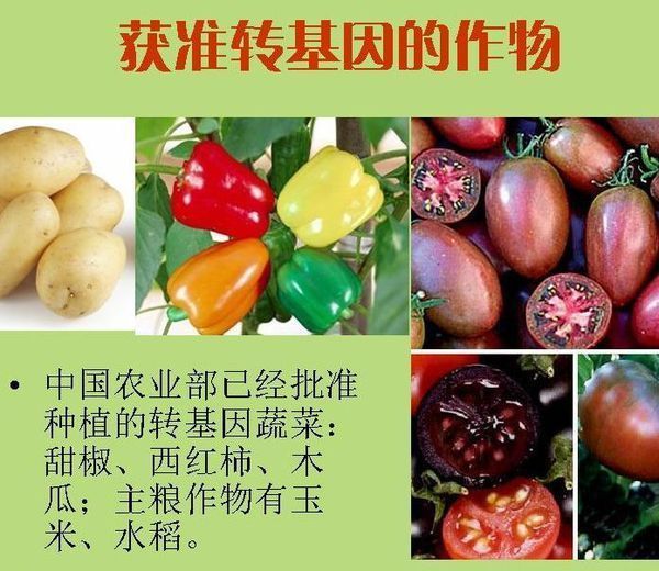 转基因食品的利与弊都有什么?