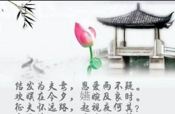 结发为夫妻,恩爱两不疑.这诗句是谁写的,全诗详细帮肋解释一下谢谢了!