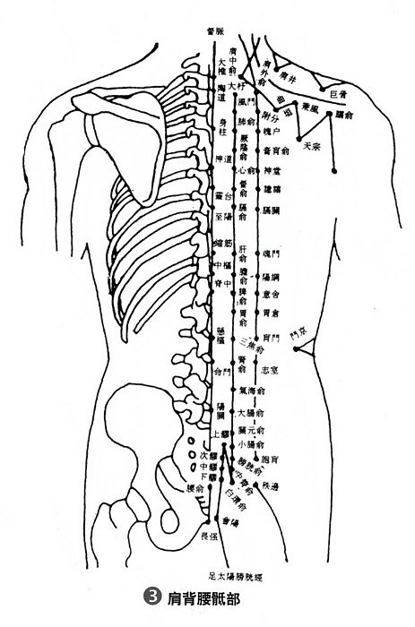 腰 眼  第四腰椎棘突下,旁开3～4寸凹陷处  腰部软组织损伤,肾下垂