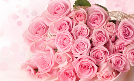 粉色玫瑰代表什么意思呀