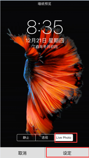 苹果6s主屏幕壁纸怎么调成动态