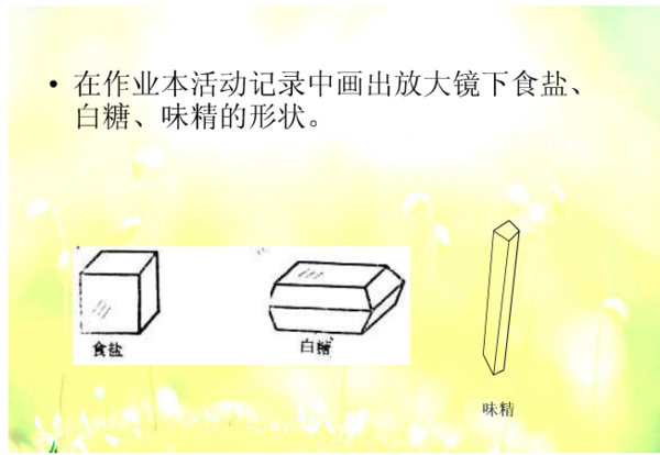 什麼是晶體?2.用放大鏡觀察出鹽,味精,白糖的形狀,請畫出來.3.