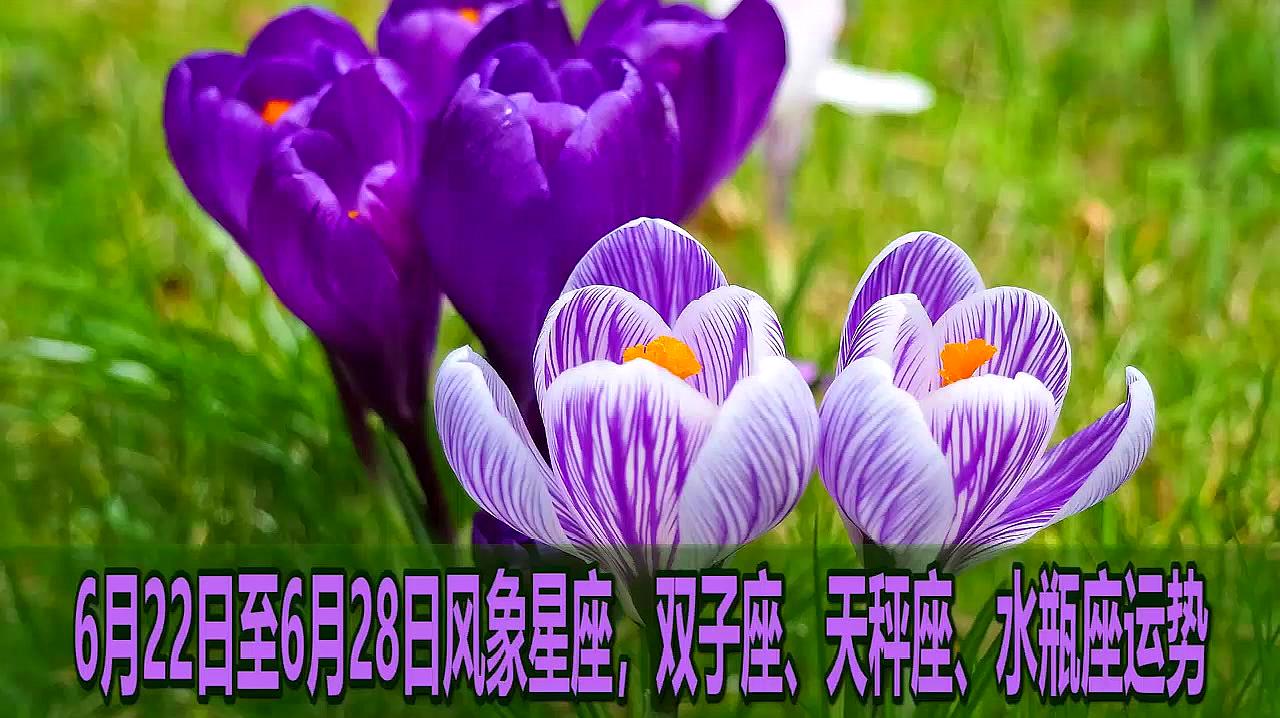 360影视 影视搜索 360影视 影视搜索