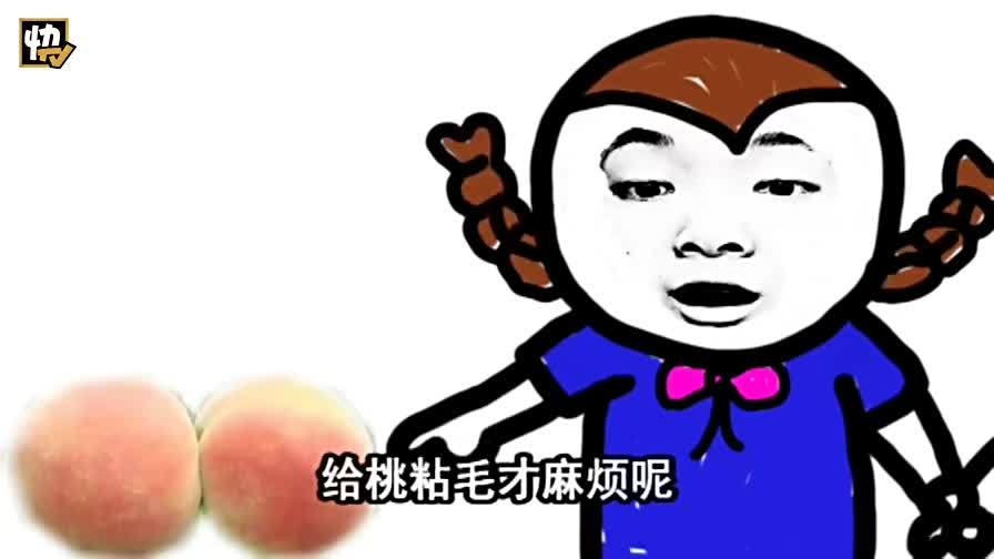 一段微博引发的 秀智商下限比赛