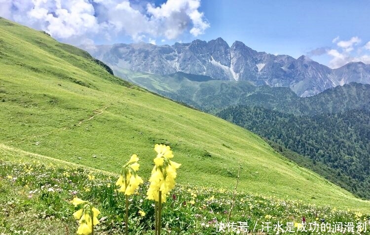 一起出发吧为什么看不了