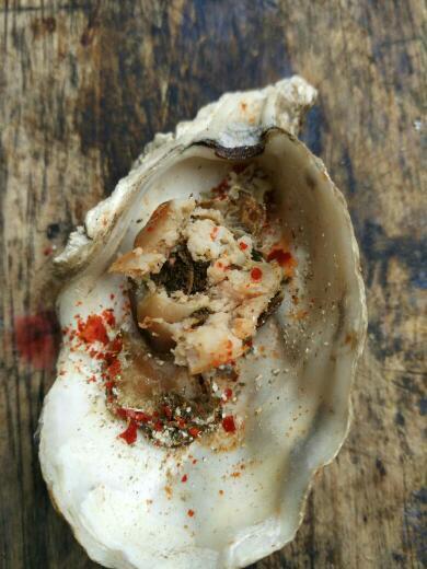 这个黑色的是不是生蚝屎?