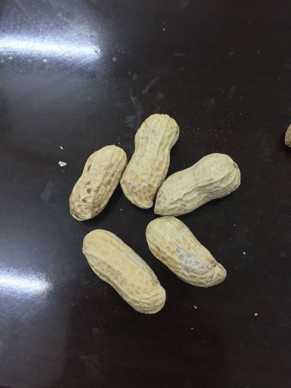 iPhone6Plus,后置摄像头拍照模糊不清,拍远的东