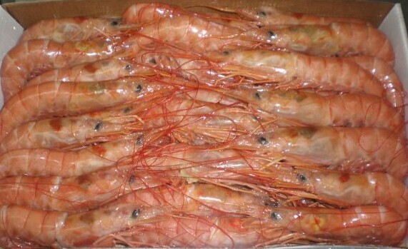 阿根廷海赤虾是红色的时候它是生的还是熟的?