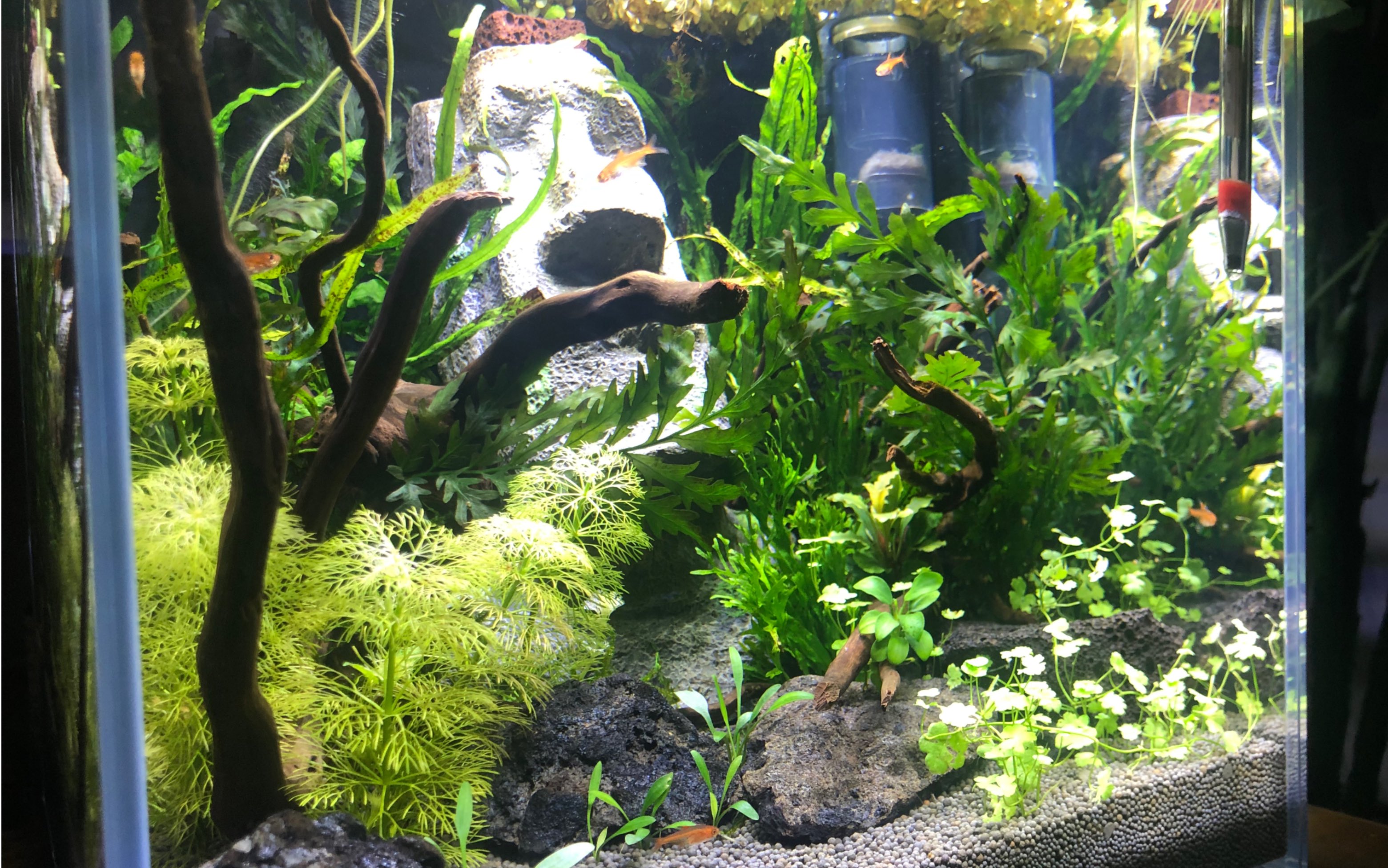 360影视 影视搜索