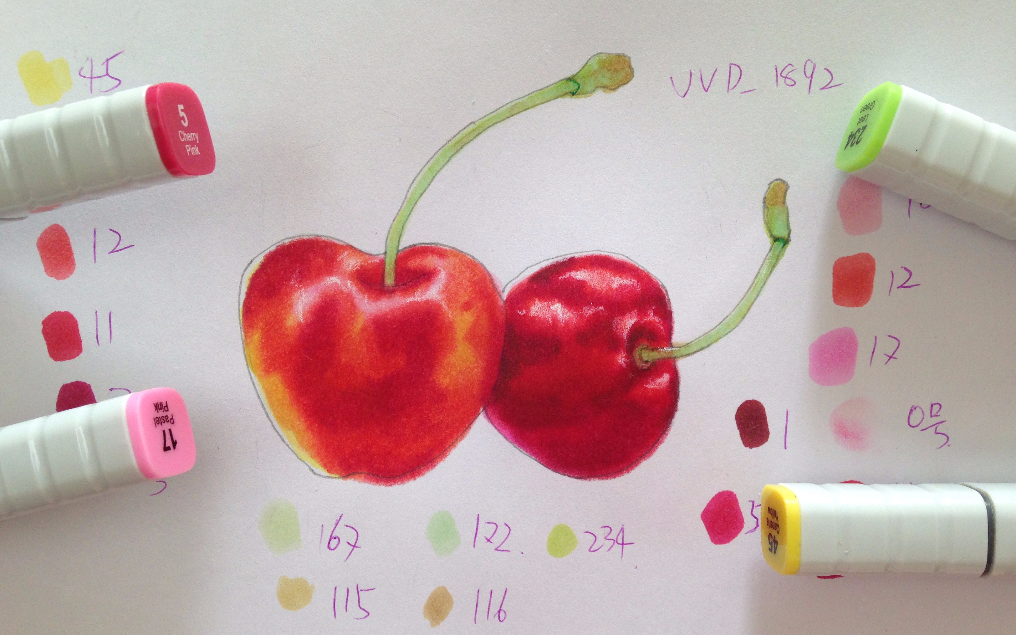 【马克笔动漫手绘教程】国产硬头touch 樱桃的画法_cherry_4倍速