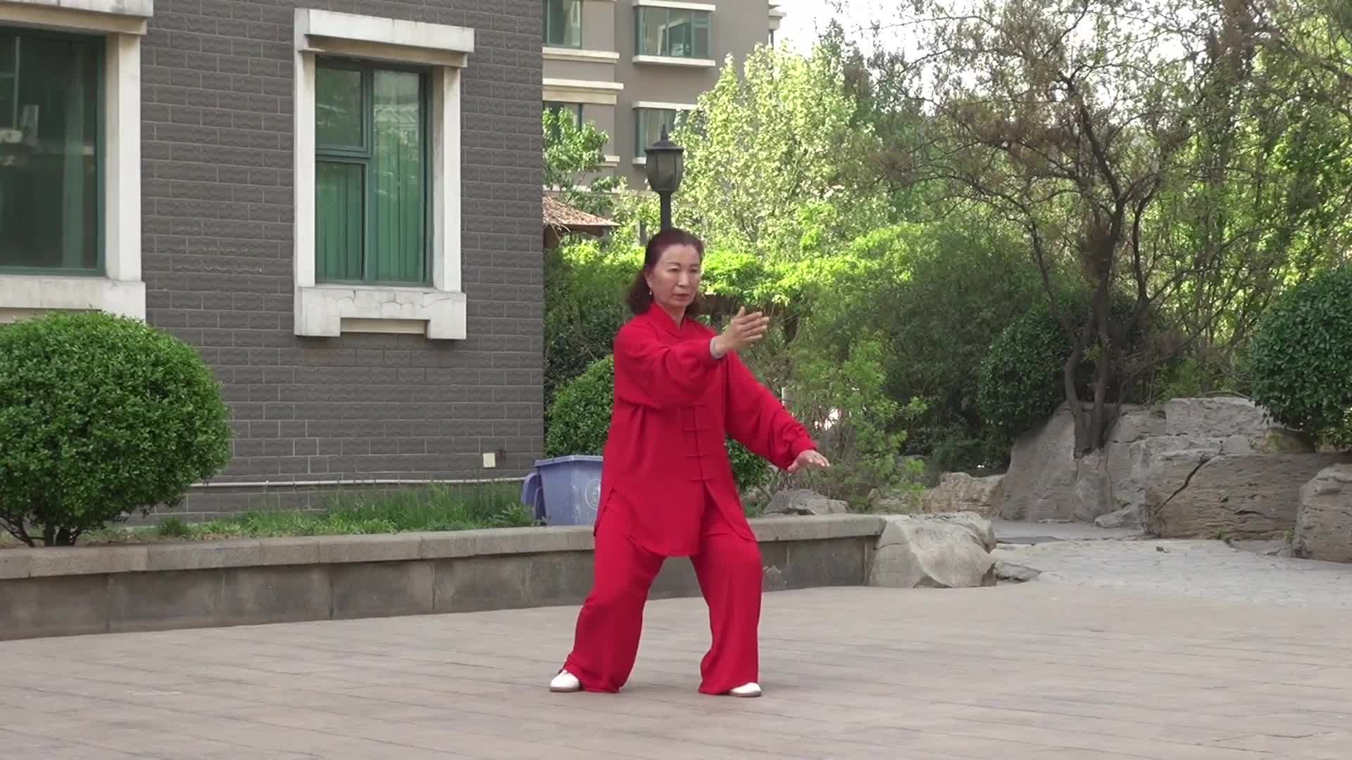 八十五式太极拳惠合同版刘慧演练2019.4.18