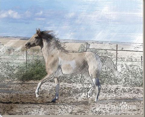 有什么软件能把照片涂成油画