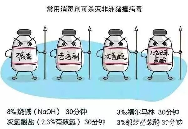非洲非洲猪瘟疫情现状