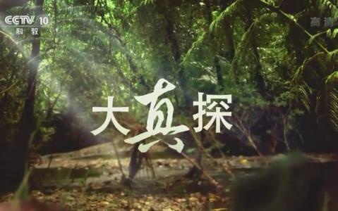 大真探荒野求生埃德