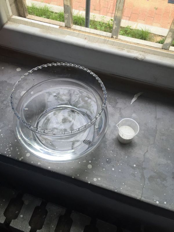 鱼生病了,准备用食盐和小苏打溶液浸洗。但是