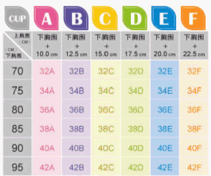 胸围72cm多大的胸图片