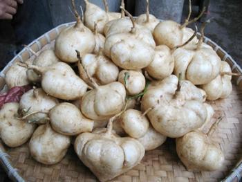 有哪位大神知道的?