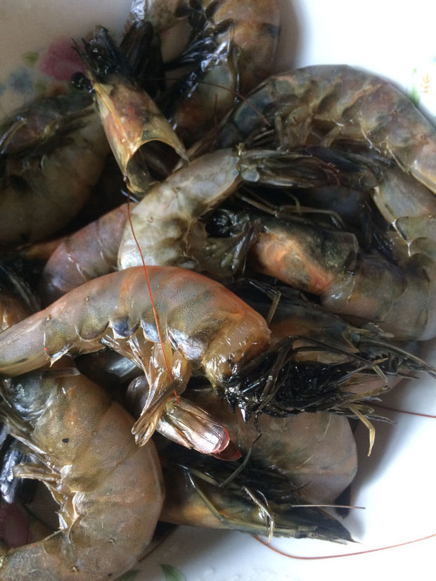 这虾为什么是黑头