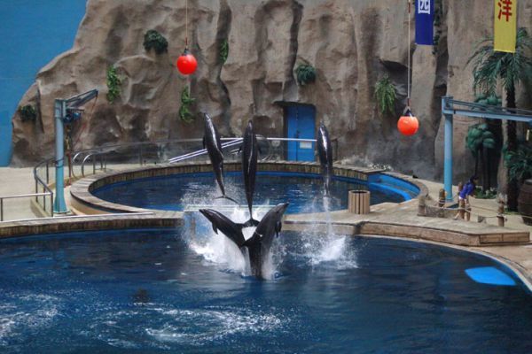 去北京海洋館需要買動物園的門票麼