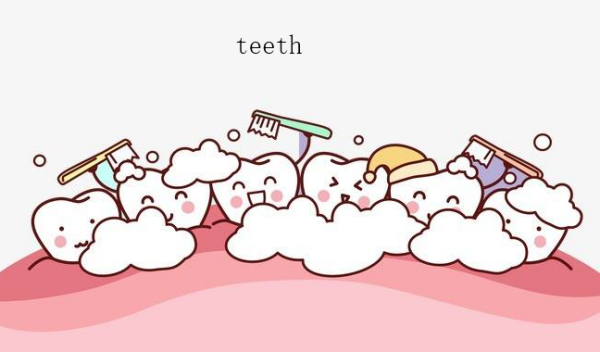 tooth(复数形式) 是什么