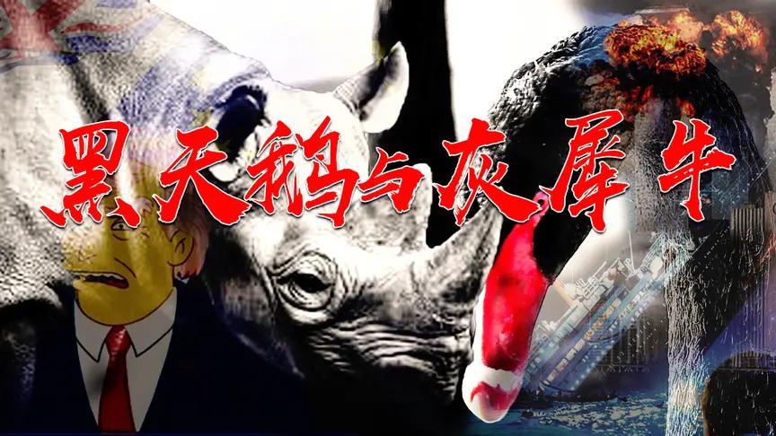 你不可不知的 黑天鹅和 灰犀牛风险!