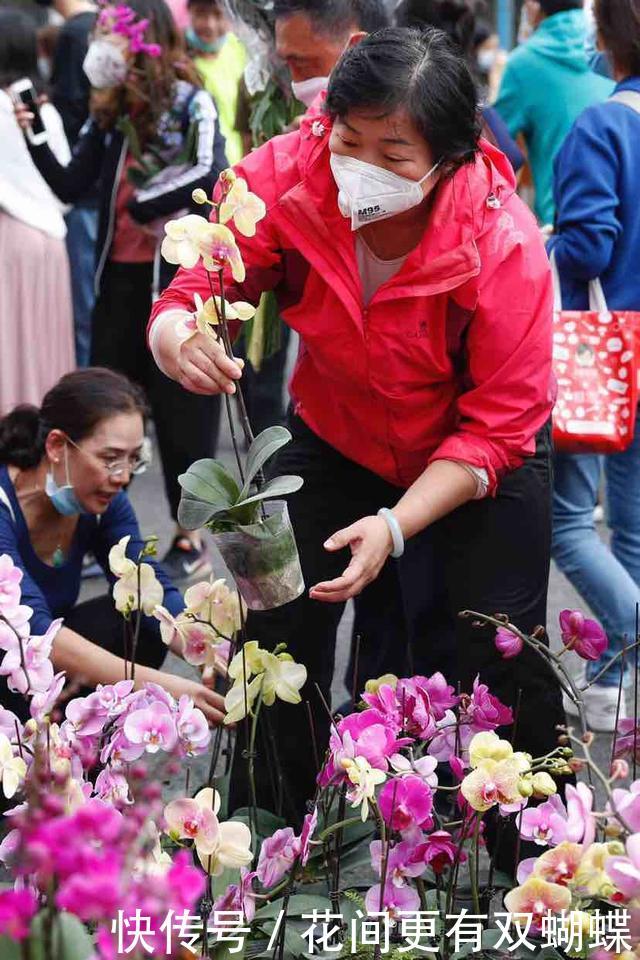 广州花市提前结束