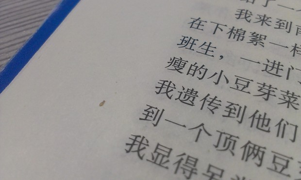 经常在书里出现的虫子,我想知道这是什么虫,有没有害,会不会咬人