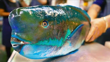 360影视 影视搜索