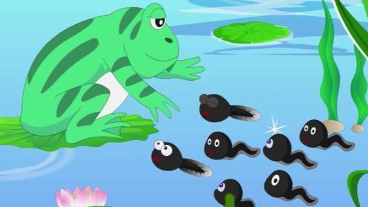 这时,青蛙妈妈赶来相救,小蝌蚪们终于找到了自己的妈妈.