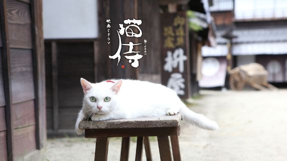 [图]猫侍第二季5 冷血杀手为钱逼萌猫参加选美比赛