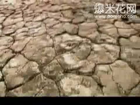 [图]神木与瞳-为你而活