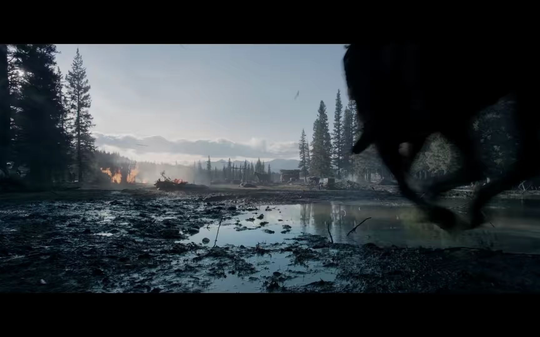 [图]【ARRI 65】【RED】【PANAVISION】【ZEISS】【荒野猎人】 The Revenant (2015) 预告片【2AGBR】