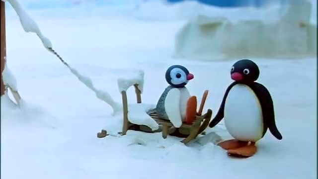企鹅家族:小 企鹅带妹妹出来玩雪橇,两人摔了一个底朝天!太逗