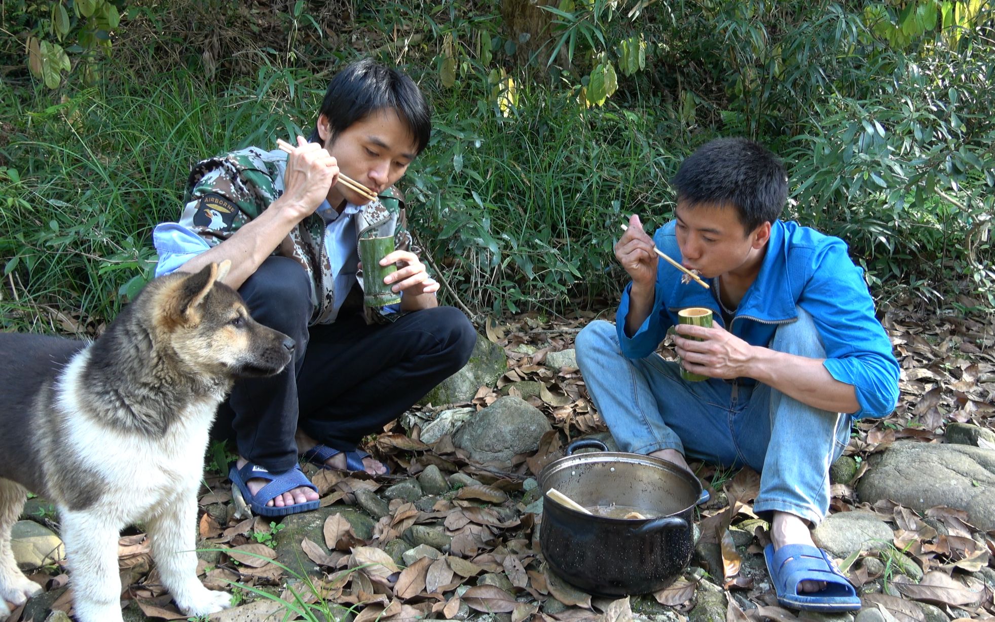 华农兄弟:这只 竹鼠打架受内伤,农村小伙只能把它煮了,味道鲜嫩可口