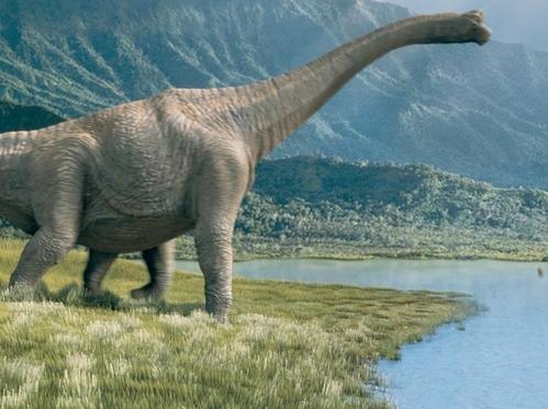 目前世界上已有几种恐龙