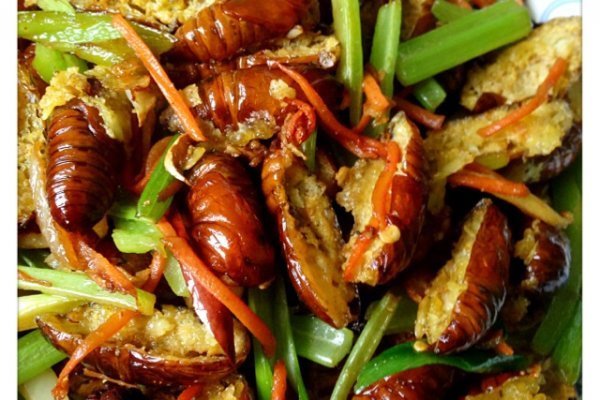 干煸两样怎么做鱿鱼茧蛹