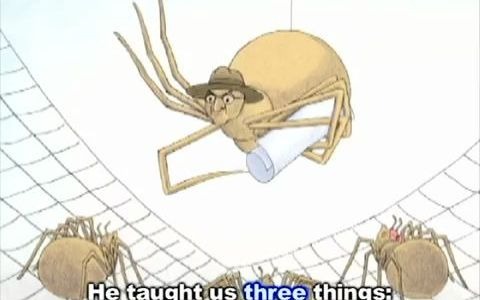 [图]DIARY OF A SPIDER 蜘蛛日记