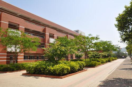 在南京河西外国语学校就读是怎样一种体验?