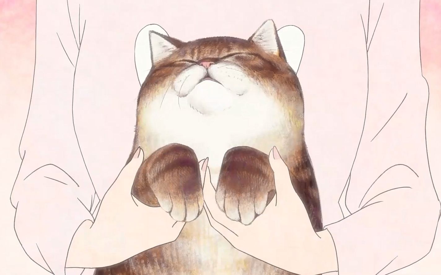 360影视 影视搜索