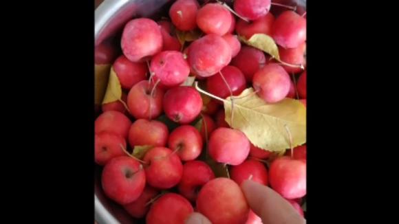 360影视 影视搜索