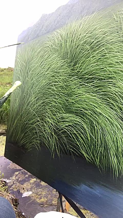 东北有三宝,人参貂皮 乌龙草