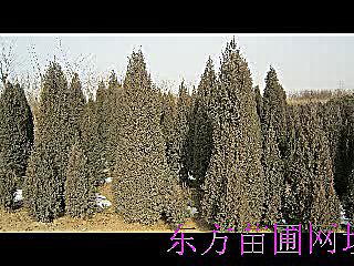 360影视-影视搜索