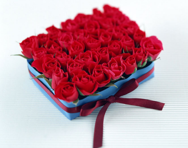 十一朵玫瑰花代表什么啊